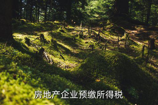 房地產(chǎn)預(yù)繳是什么意思，房價預(yù)交1萬抵2萬是什么意思