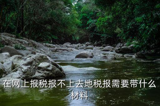 網(wǎng)上報稅反寫失敗帶什么手續(xù)，去國稅局查看反寫需要帶什么