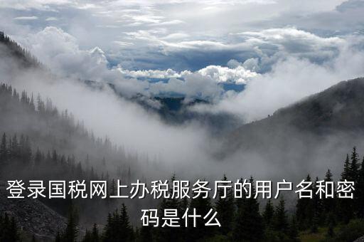 電子稅務局登陸用戶名是什么，登錄國稅網(wǎng)上辦稅服務廳的用戶名和密碼是什么
