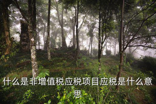 成品油應(yīng)稅和非應(yīng)稅是什么意思，什么是非增值稅應(yīng)稅項(xiàng)目應(yīng)稅是什么意思