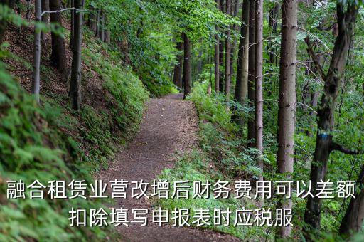應稅服務扣除項目清單干什么用，應稅服務扣除項目清單中允許扣除項目金額指的是什么是總