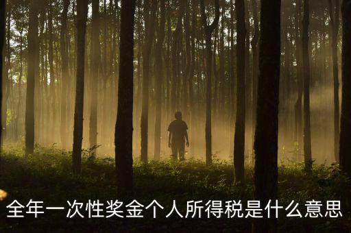 全年一次性獎(jiǎng)金個(gè)人所得稅是什么意思