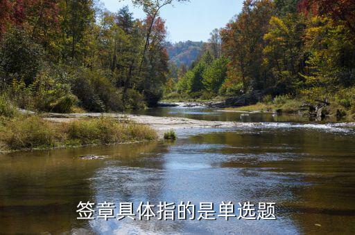 稅務主管簽章指什么意思，稅務章是什么