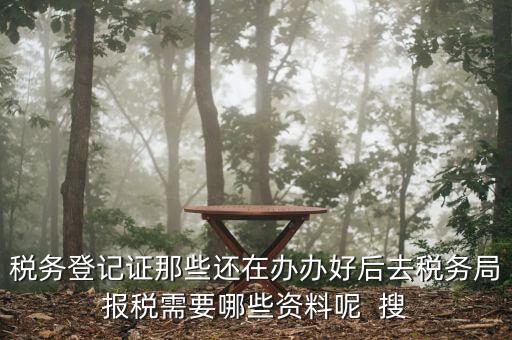 新辦企業(yè)稅務(wù)局需要什么資料，稅務(wù)登記證那些還在辦辦好后去稅務(wù)局報(bào)稅需要哪些資料呢  搜