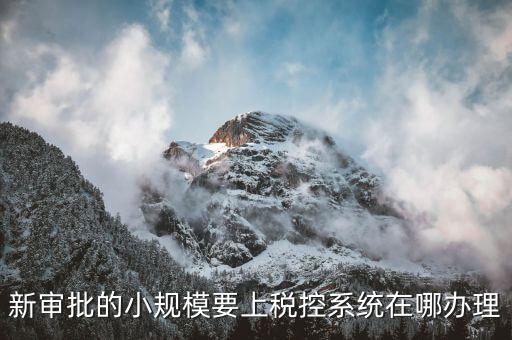 什么是小規(guī)模稅控升級，新審批的小規(guī)模要上稅控系統(tǒng)在哪辦理