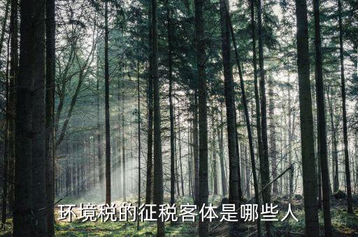 環(huán)保稅納稅人的什么意思，環(huán)境稅是什么意思