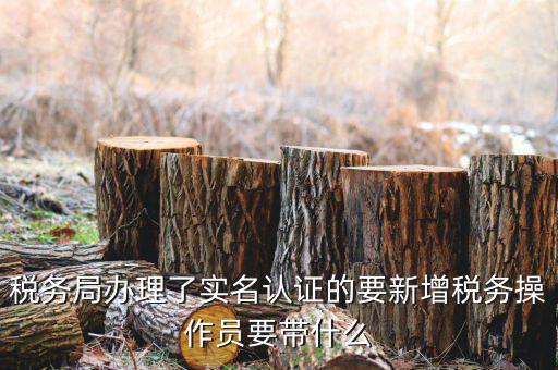 四川國稅局實名認(rèn)證需要什么資料，國稅發(fā)票認(rèn)證需要準(zhǔn)備那些資料 到大廳辦的時候工作人員叫我拿U盤