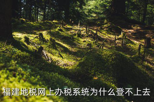 企業(yè)所得稅系統(tǒng)為什么登不上，福建地稅網上辦稅系統(tǒng)為什么登不上去