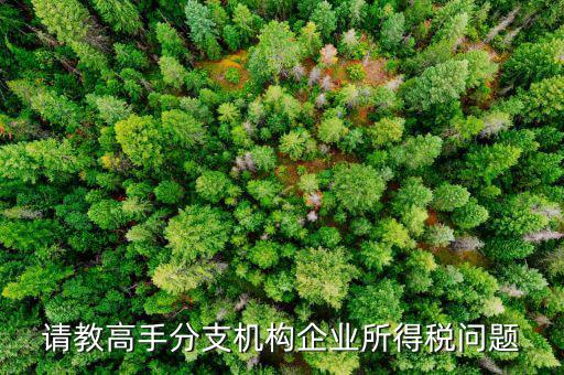 企業(yè)所得稅分管單位是什么意思，企業(yè)所得稅主管稅務局指的是什么