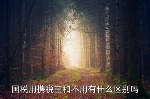 稅寶是什么，國稅用攜稅寶和不用有什么區(qū)別嗎