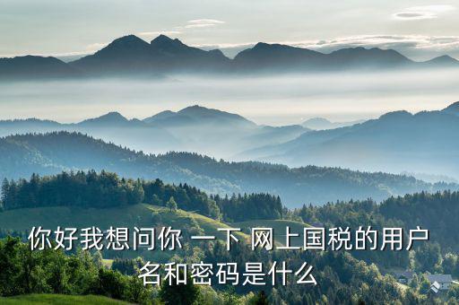 你好我想問(wèn)你 一下 網(wǎng)上國(guó)稅的用戶(hù)名和密碼是什么