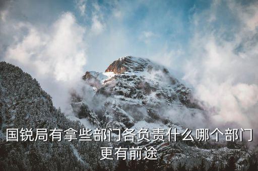 國銳局是辦什么，深圳公司入黑名單注銷吊銷