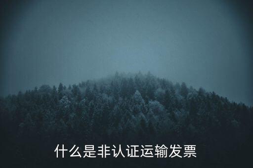 運輸票是什么，運輸發(fā)票是普通發(fā)票嗎
