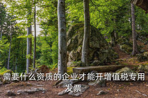 什么公司可以開增值稅專用發(fā)票，什么樣的企業(yè)才能開增值稅專用發(fā)票