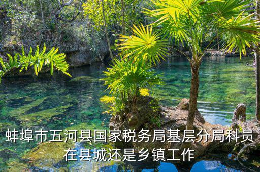 懷遠(yuǎn)稅務(wù)局在什么地方，蚌埠市五河縣國家稅務(wù)局基層分局科員在縣城還是鄉(xiāng)鎮(zhèn)工作