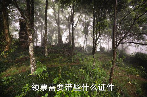 領票需要帶些什么證件