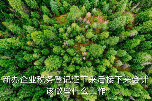 新辦企業(yè)稅務登記證下來后接下來會計該做些什么工作