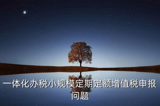 非定期定額戶申報(bào)是什么意思，一體化辦稅小規(guī)模定期定額增值稅申報(bào)問題