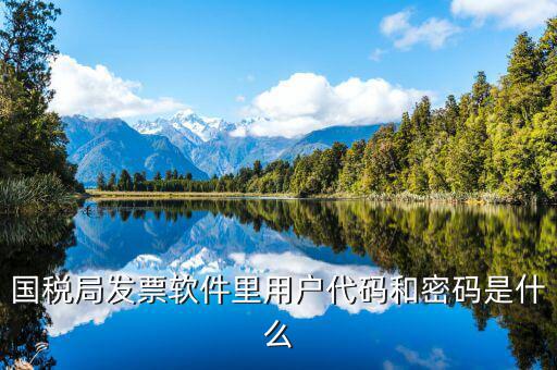 國稅用戶密碼是什么，你好我想問你 一下 網(wǎng)上國稅的用戶名和密碼是什么