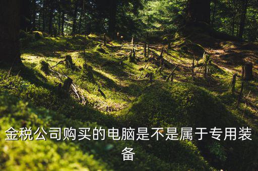 金稅設(shè)備什么時(shí)候買，金稅公司購(gòu)買的電腦是不是屬于專用裝備