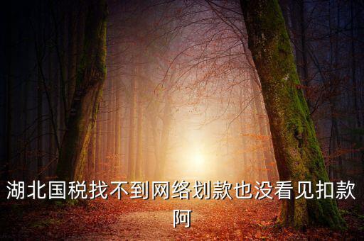 湖北國(guó)稅找不到網(wǎng)絡(luò)劃款也沒看見扣款阿