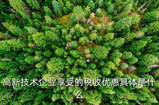 什么是享受稅收優(yōu)惠權(quán)，什么是稅收優(yōu)惠政策