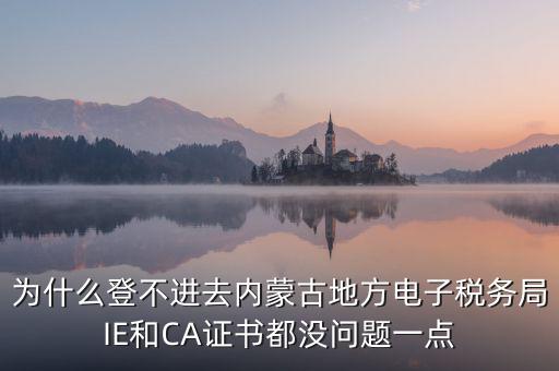 為什么電子稅務局登錄不了，山西省電子稅務局在電腦上登陸不上為啥呢