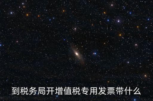 辦增值稅發(fā)票需要什么，到稅務局開增值稅專用發(fā)票帶什么