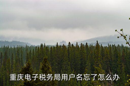 重慶電子稅務局的網(wǎng)址是什么意思，重慶市國稅電子申報委托繳稅的網(wǎng)址
