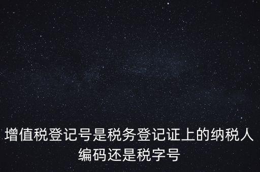 一般納稅人登記編號(hào)是什么，納稅人編號(hào)是什么