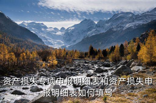 資產(chǎn)損失專項申報明細(xì)表和資產(chǎn)損失申報明細(xì)表如何填寫