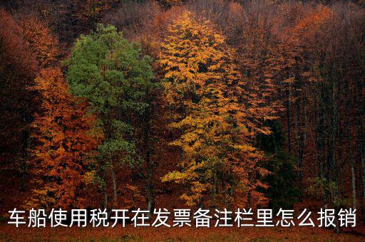 車船使用稅為什么在發(fā)票備注欄，保險(xiǎn)公司代收的車船稅稅款是填在備注欄里的么