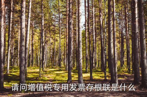 發(fā)票存根聯(lián)是什么，發(fā)票存根聯(lián)是按發(fā)票購領(lǐng)本上領(lǐng)購的本數(shù)裝訂還是25張裝訂一冊