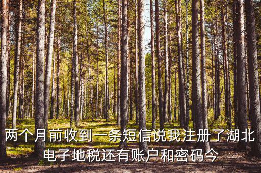 地稅什么時候會給電子稅務密碼，報地稅的時候登陸密碼每天有幾次輸入機會