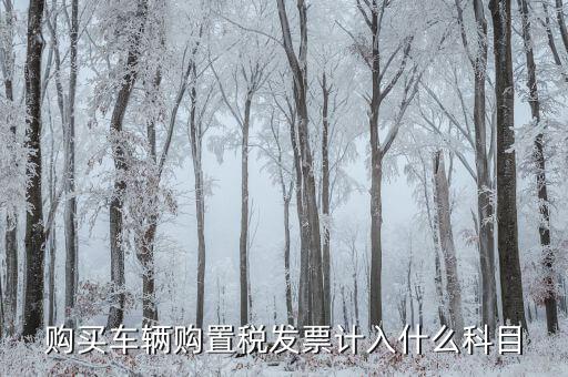 車輛購置發(fā)票是什么，關(guān)于車輛購置稅發(fā)票的問題