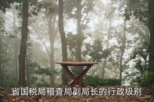 湖南稽查局長什么級別，湖南廣電局紀(jì)檢組長是什么級別