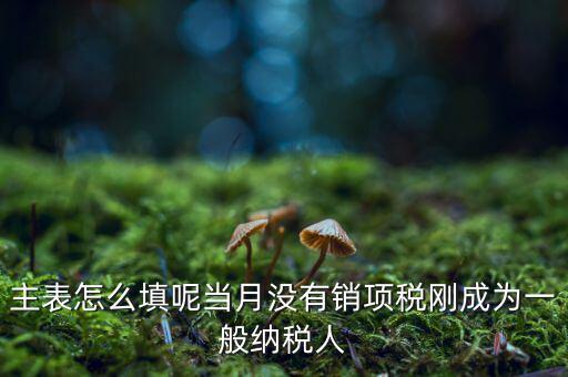 一般納稅人主表是什么意思，一般納稅人申報(bào)表主表的申明人必須輸入是什么意思
