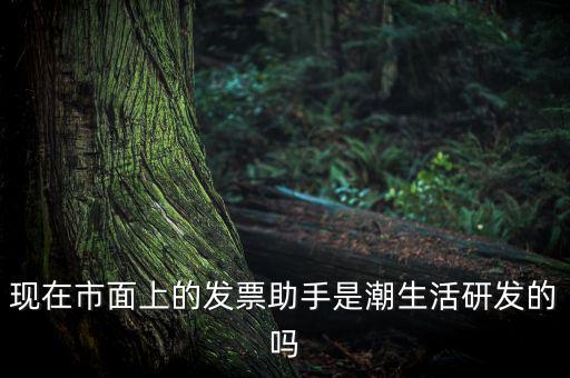 國(guó)稅發(fā)票助手是干什么的，現(xiàn)在市面上的發(fā)票助手是潮生活研發(fā)的嗎