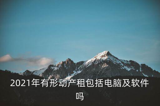 2021年有形動產租包括電腦及軟件嗎