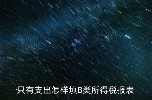 個(gè)人生產(chǎn)經(jīng)營(yíng)所得B表稅金填什么，只有支出怎樣填B類所得稅報(bào)表