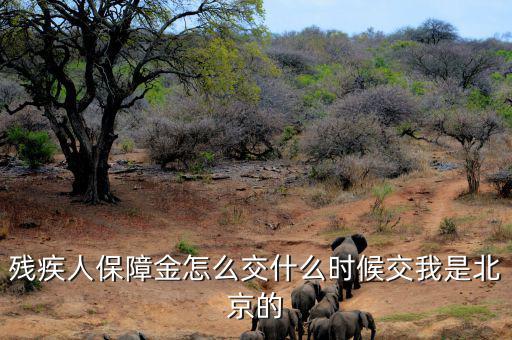 殘疾人保障金要求什么時(shí)候交，殘疾人保障金怎么交什么時(shí)候交我是北京的