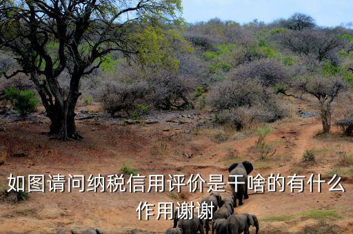 申請納稅信用復(fù)評需要什么資料，納稅信用評價的基本規(guī)范要求包括什么