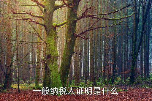 什么可以證明是一般納稅人，什么叫一般納稅人我如何辨別自己公司是否是一般納稅人
