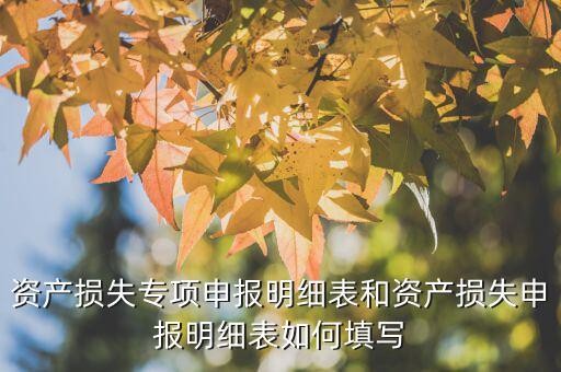 什么是專項資產損失申報表，所得稅申報表怎么填22資產損失
