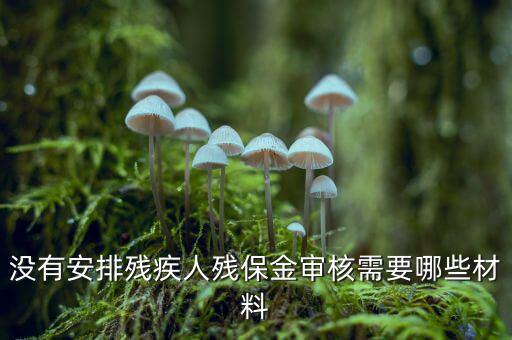 福建殘保金備案需要什么資料，求助2012年殘保金申請流程