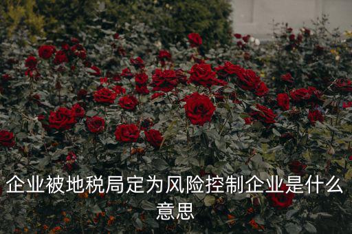 稅收風(fēng)險控制是什么，稅務(wù)風(fēng)險管理的稅務(wù)風(fēng)險管理制度