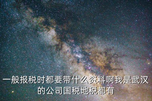 武漢國稅年報是什么，武漢市地稅國稅報稅截至日期分別是什么時候