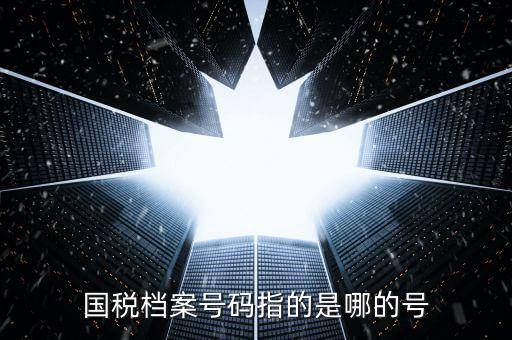 國稅號碼是什么，什么是國稅檔案號