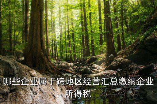 跨地區(qū)經(jīng)營(yíng)匯總納稅指的是什么，哪些企業(yè)屬于跨地區(qū)經(jīng)營(yíng)匯總繳納企業(yè)所得稅