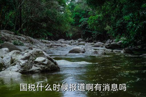 國稅同崗同籌什么時候?qū)崿F(xiàn)，請問國稅什么時候才能實現(xiàn)陽光工資